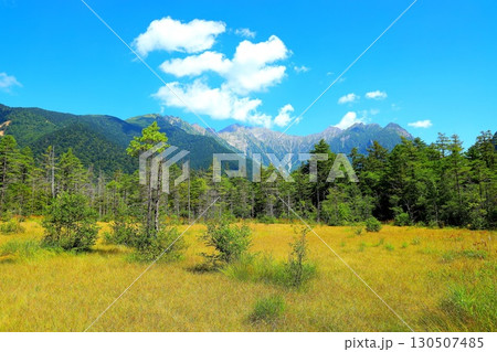 夏の上高地・田代湿原と穂高連峰 130507485