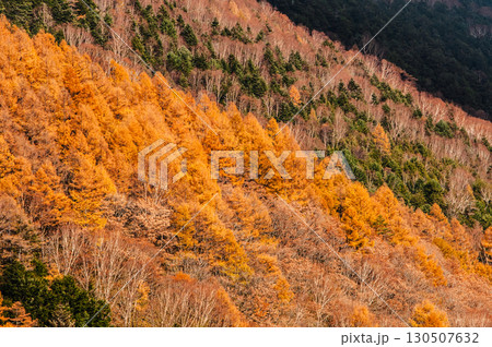 蓼科八子ヶ峰の秋 130507632