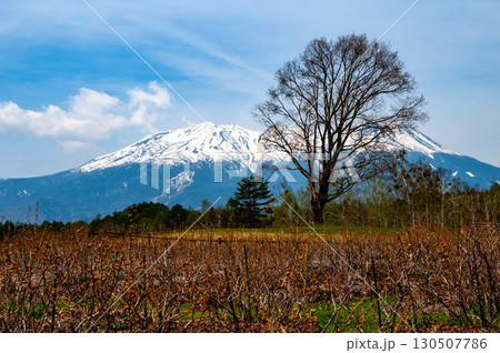 開田高原の春 開田高原の春 130507786