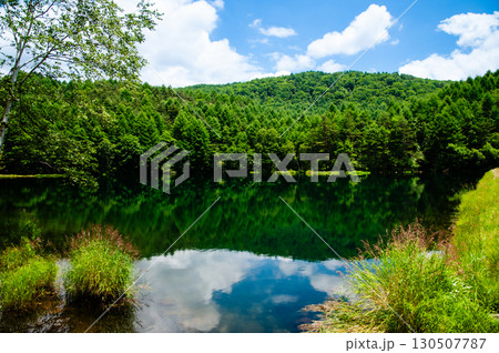 御射鹿池の夏 130507787