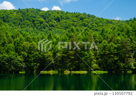 御射鹿池の夏 御射鹿池の夏 130507792