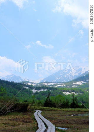6月の栂池自然園　後編その1　　　　春の栂池自然園　　　信州の自然　　　信州の景色 130507810