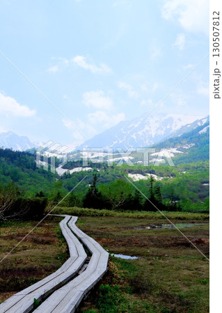 6月の栂池自然園　後編その1　　　　春の栂池自然園　　　信州の自然　　　信州の景色 130507812