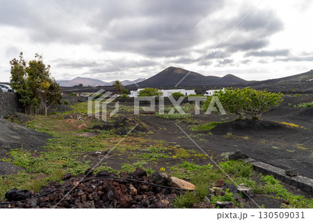 A serene view in Lanzarote featuring volcanic landscape, with houses nestled amongst dark terrain, under a cloudy sky. A serene view in Lanzarote featuring volcanic landscape, with houses nestled amongst dark terrain, under a cloudy sky. 130509031