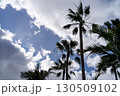 Looking upwards, the image presents a dramatic interplay of palm trees against a partially cloudy, bright sky, showcasing the contrast. 130509102