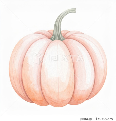 Watercolor Illustration of a Pastel Pink Pumpkin with Neutral Background 130509279