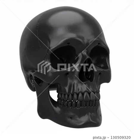 Black Anatomical Skull Model on White Background in Studio Lighting Medical Illustration 130509320
