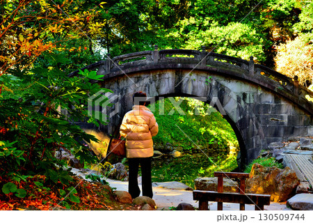 都立庭園 小石川後楽園 赤く染まったもみじの紅葉 都立庭園 小石川後楽園 赤く染まったもみじの紅葉 130509744
