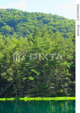 東山魁夷の「緑響く」のモチーフになった御射鹿池 130509902