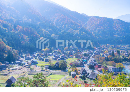 【秋素材】錦秋の白川郷・展望台から見える風景【岐阜県】 【秋素材】錦秋の白川郷・展望台から見える風景【岐阜県】 130509976