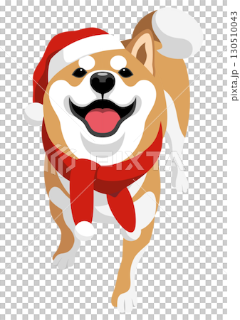 Shiba Inu Shiba Inu 130510043