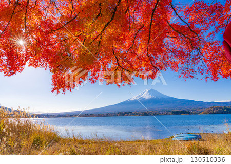 【富士山素材】秋の河口湖から見る冠雪した富士山と紅葉【山梨県】 【富士山素材】秋の河口湖から見る冠雪した富士山と紅葉【山梨県】 130510336