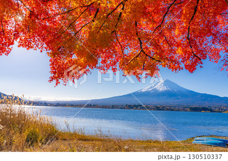 【富士山素材】秋の河口湖から見る冠雪した富士山と紅葉【山梨県】 【富士山素材】秋の河口湖から見る冠雪した富士山と紅葉【山梨県】 130510337