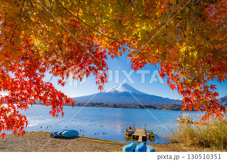 【富士山素材】秋の河口湖から見る冠雪した富士山と紅葉【山梨県】 【富士山素材】秋の河口湖から見る冠雪した富士山と紅葉【山梨県】 130510351