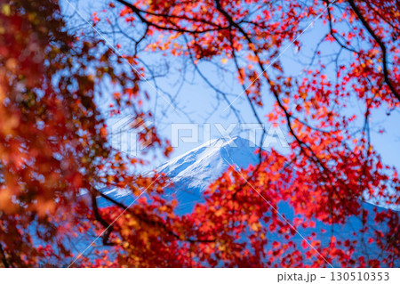 【富士山素材】秋の河口湖から見る冠雪した富士山と紅葉【山梨県】 【富士山素材】秋の河口湖から見る冠雪した富士山と紅葉【山梨県】 130510353