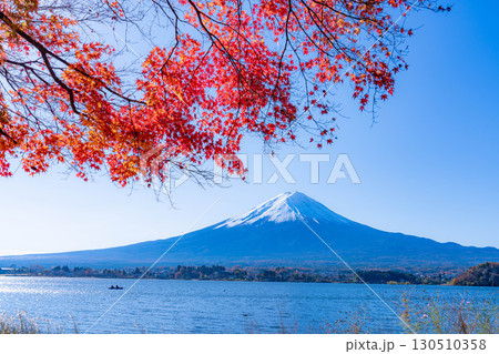 【富士山素材】秋の河口湖から見る冠雪した富士山と紅葉【山梨県】 【富士山素材】秋の河口湖から見る冠雪した富士山と紅葉【山梨県】 130510358