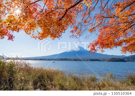 【富士山素材】秋の河口湖から見る冠雪した富士山と紅葉【山梨県】 130510364