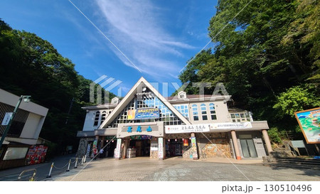 高尾登山電鉄 高尾登山電鉄 130510496
