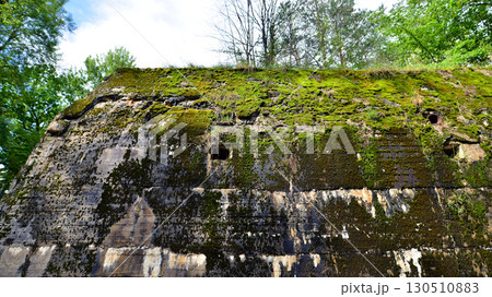 Destroyed WWII bunker ruins found in the forest covered with moss, shrubs, and other flora. Destroyed WWII bunker ruins found in the forest covered with moss, shrubs, and other flora. 130510883