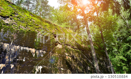 Destroyed WWII bunker ruins found in the forest covered with moss, shrubs, and other flora. 130510884