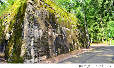 Destroyed WWII bunker ruins found in the forest covered with moss, shrubs, and other flora. 130510885