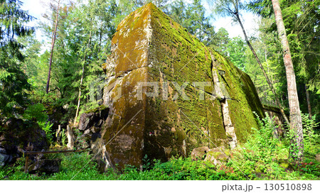 Destroyed WWII bunker ruins found in the forest covered with moss, shrubs, and other flora. 130510898