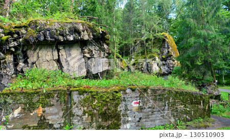 Destroyed WWII bunker ruins found in the forest covered with moss, shrubs, and other flora. Destroyed WWII bunker ruins found in the forest covered with moss, shrubs, and other flora. 130510903