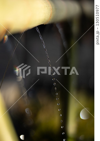 滴り落ちる祈り ― 鶴岡八幡宮 滴り落ちる祈り ― 鶴岡八幡宮 130510977