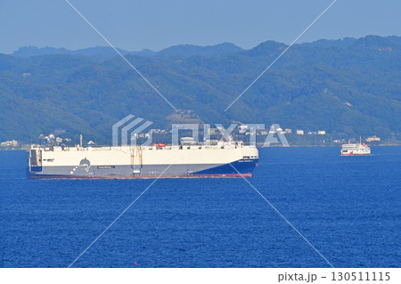 東京湾　浦賀水道　東京湾フェリー　かなや丸　トヨフジ海運　TRANS HARMONY 2 130511115