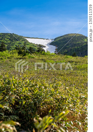 南竜ヶ馬場から見上げるトンビ岩コースの雪渓 初夏の白山御前峰登山 南竜ヶ馬場から見上げるトンビ岩コースの雪渓 初夏の白山御前峰登山 130511359