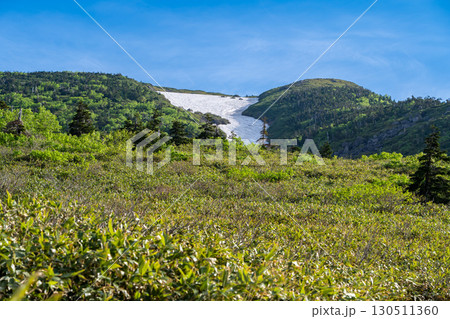 南竜ヶ馬場から見上げるトンビ岩コースの雪渓　初夏の白山御前峰登山 130511360