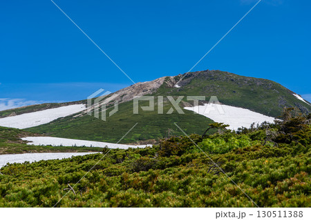 トンビ岩から見る白山御前峰の山頂部　初夏の白山御前峰登山（トンビ岩コース） 130511388