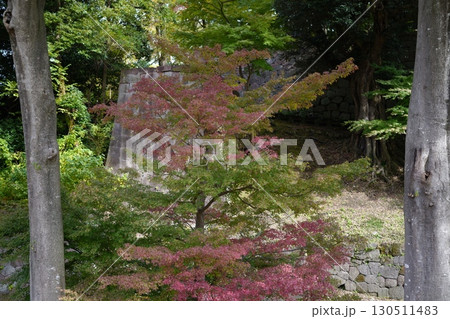 金沢城公園 130511483