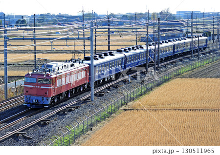 東北本線 東鷲宮ー栗橋 JR東日本 EF81-81(田端)+12系(高崎) 黒磯訓練 東北本線 東鷲宮ー栗橋 JR東日本 EF81-81(田端)+12系(高崎) 黒磯訓練 130511965