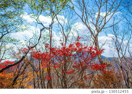 秋の赤城山 秋の赤城山 130512455