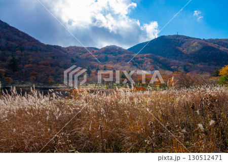 秋の赤城山 秋の赤城山 130512471