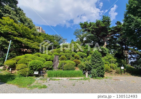 和光市熊野神社白子富士 130512493