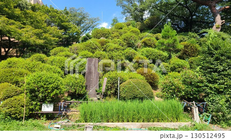 白子富士 130512495