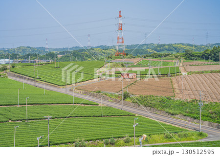 菊川市の高台から見た茶畑の風景(静岡県) 菊川市の高台から見た茶畑の風景(静岡県) 130512595