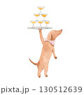 Cute Watercolor Dog Waiter Holding Champagne Glasses , Illustration for Invitations, Menus, and Party Decor 130512639