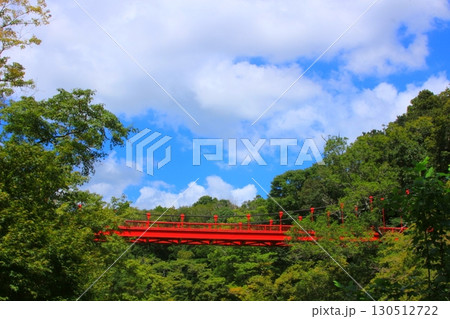 公園の赤い吊り橋 130512722