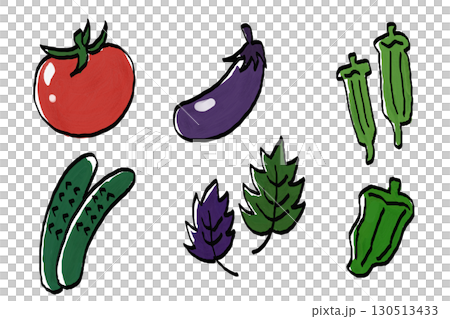 夏野菜の手描きイラストセット 夏野菜の手描きイラストセット 130513433