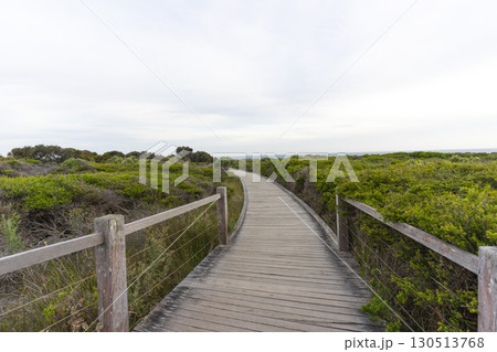 Walking path graveled in green bushes at 12 Apostles National Park Victoria, Australia. 130513768