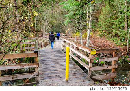 A section of the Thacker Regional Park in Hope, BC, Canada A section of the Thacker Regional Park in Hope, BC, Canada 130513976