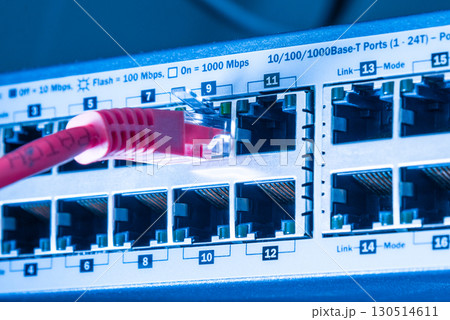 red network cable connected to witch 130514611