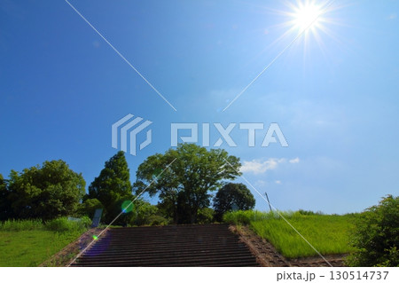眩しく輝く太陽と木々の緑 130514737