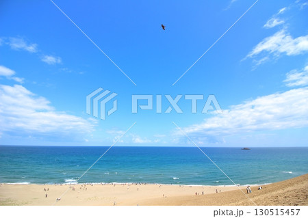 大空と海と砂丘の美しい風景 130515457