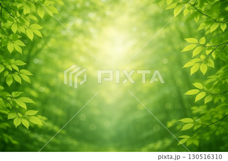 新緑　若葉 130516310