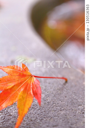 秋イメージ、鮮やかな紅葉の季節 130516363