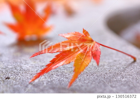秋イメージ、鮮やかな紅葉の季節 秋イメージ、鮮やかな紅葉の季節 130516372